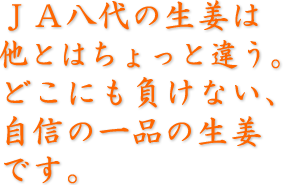 ＪＡ八代の生姜は他とはちょっと違う。どこにも負けない、自信の一品の生姜です。