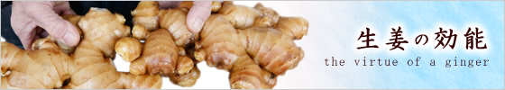 生姜の効能